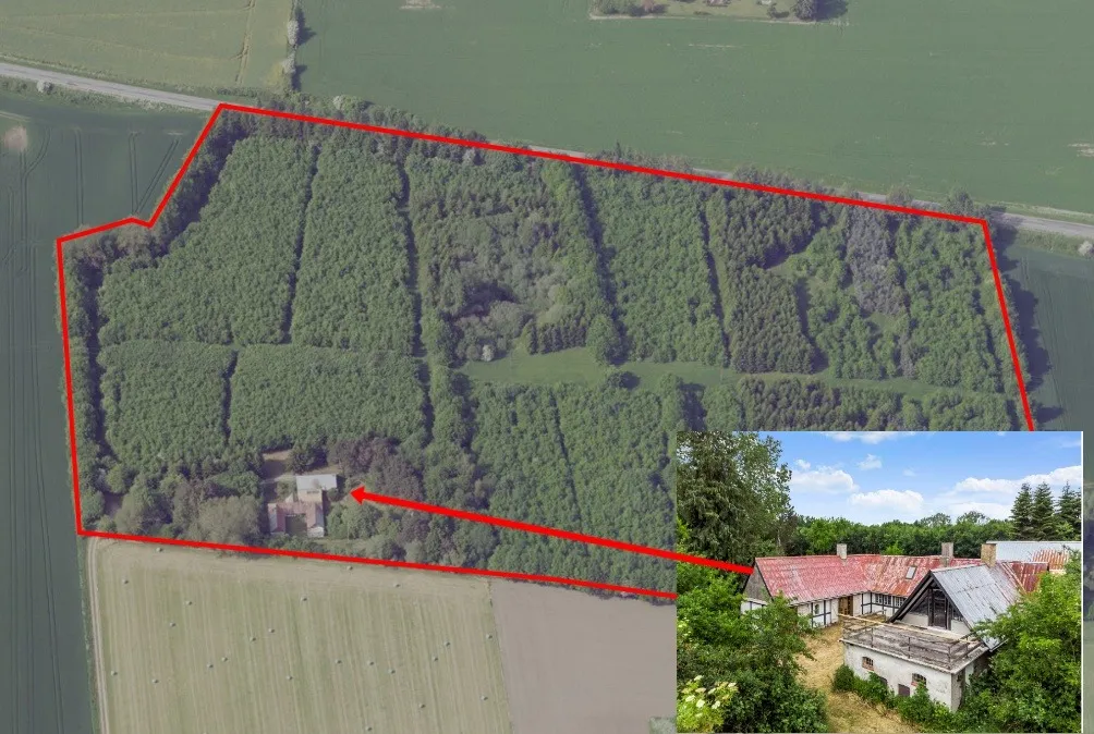 Bo i egen skov