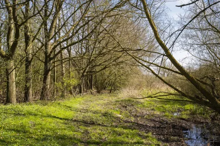 13,9 Ha Jagtejendom med skov, mose og strand