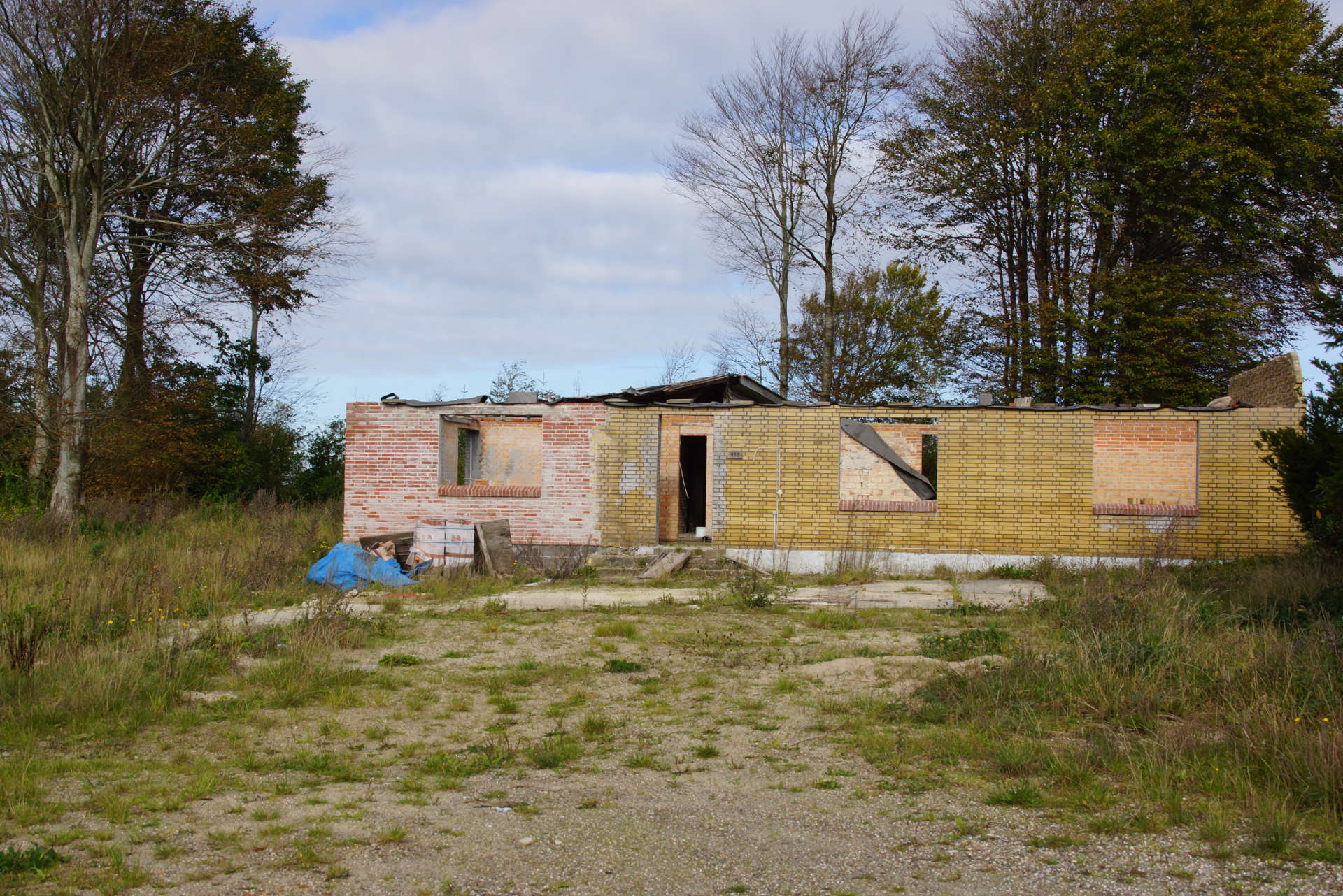 9,5 HA SKOV OG NATUR VED SKATSKOV