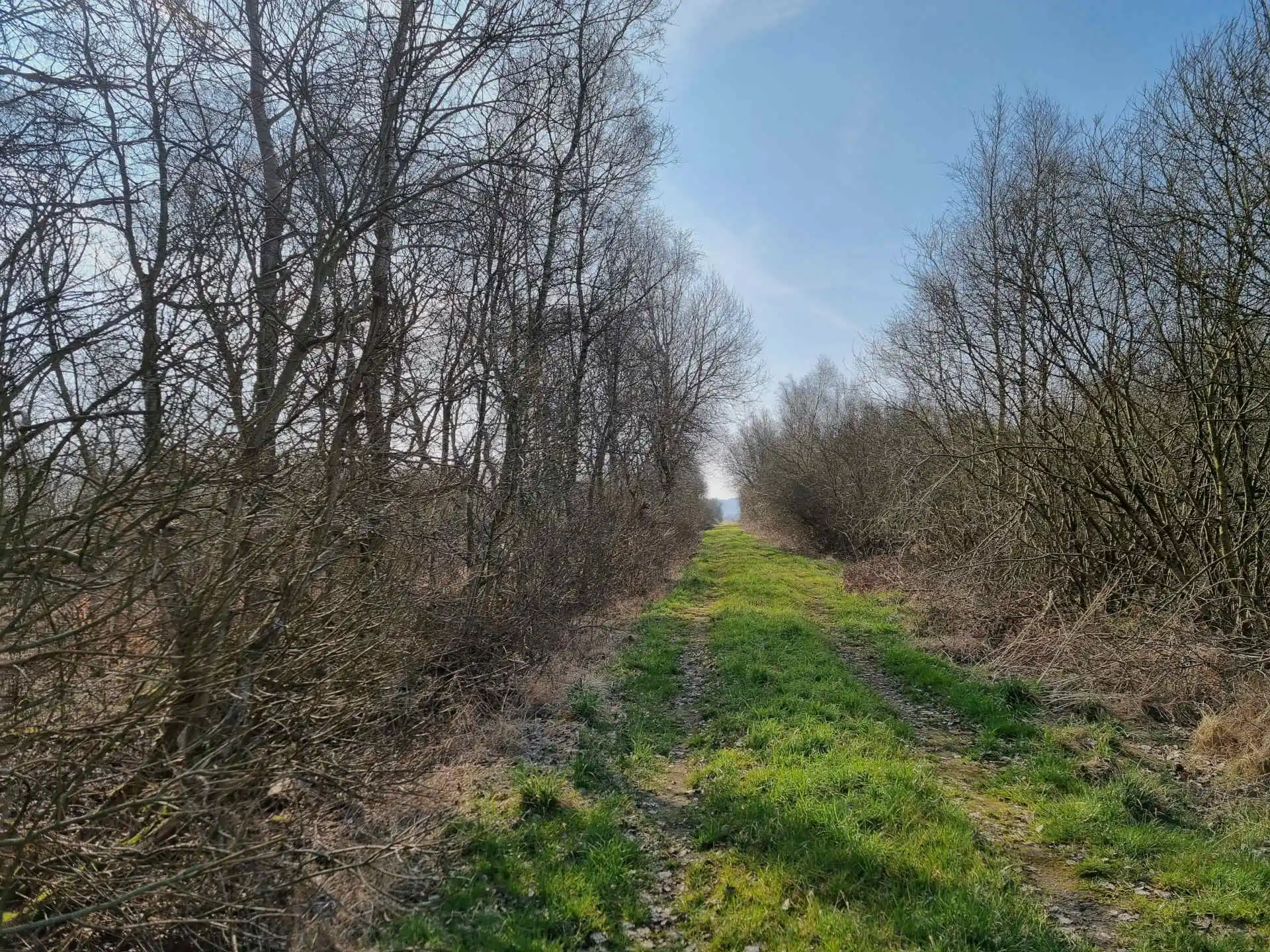 1,8 ha frijord ved Hammershøj