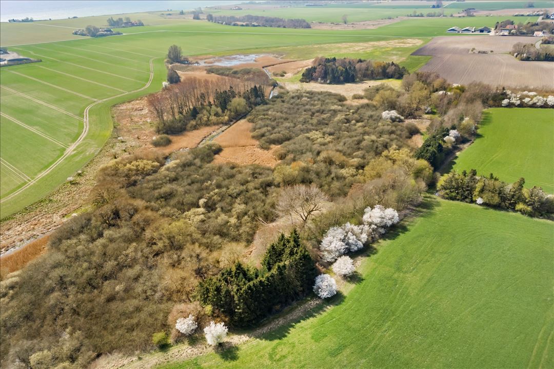 13,9 Ha Jagtejendom med skov, mose og strand