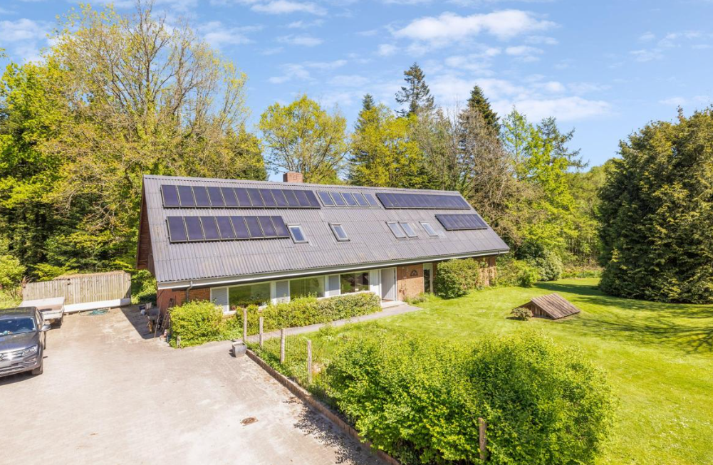 4,6 Ha og charmerende Ejendom, Sdr. Vissing