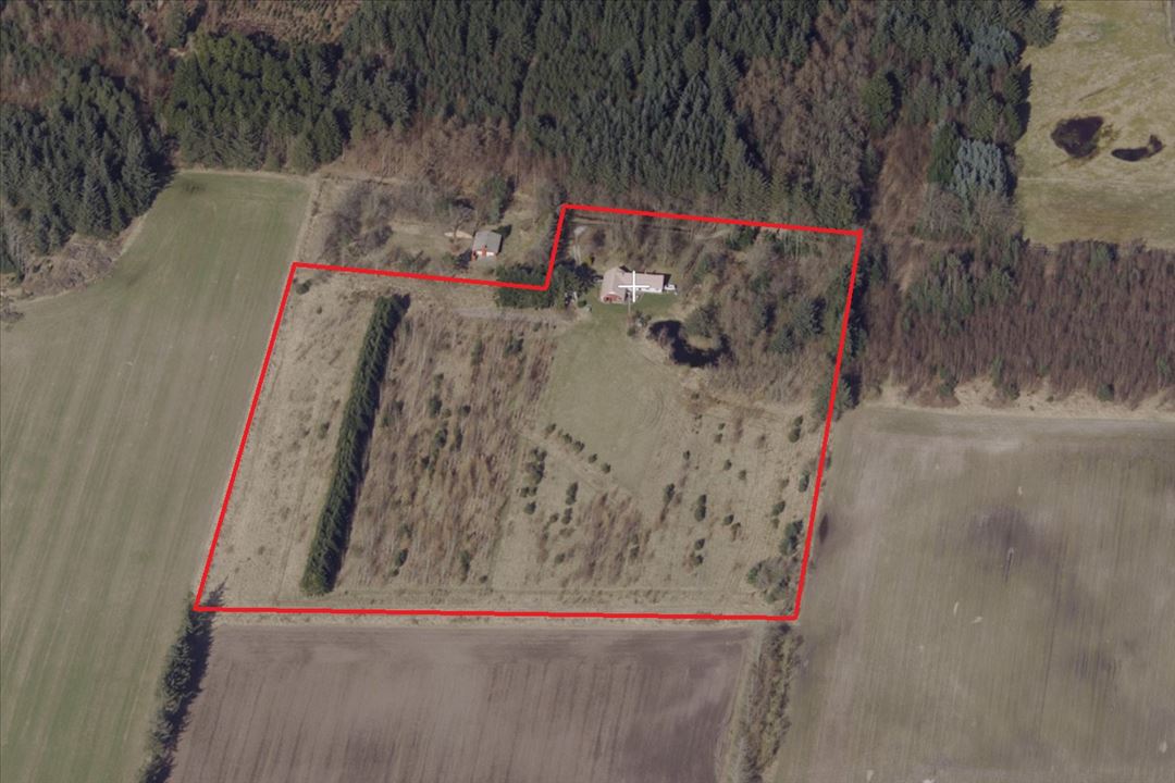 Naturskøn oase midt i skov, Skårup, 7700 Thisted