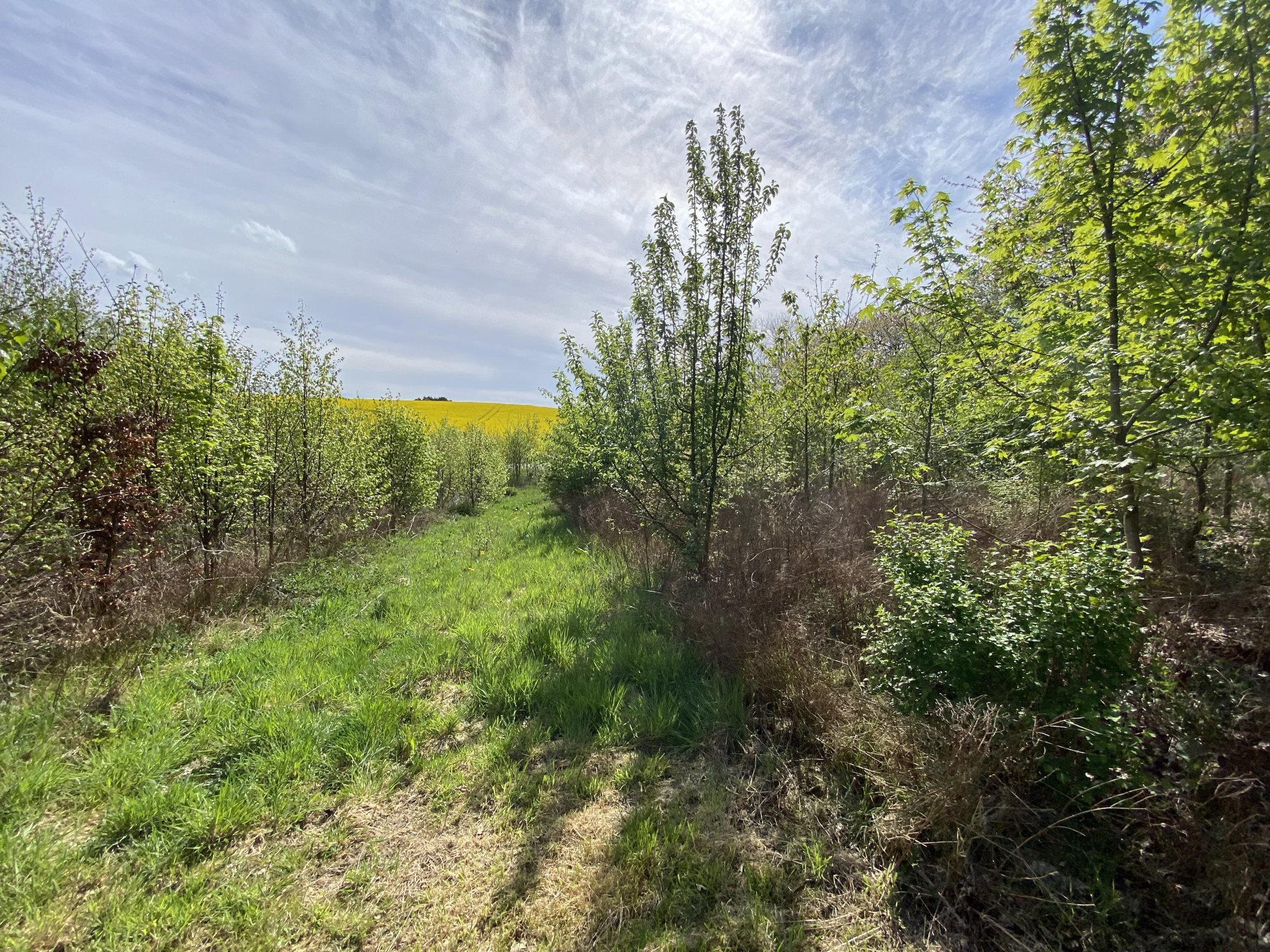 Jagt- og naturperle ved Faaborg på 22 ha