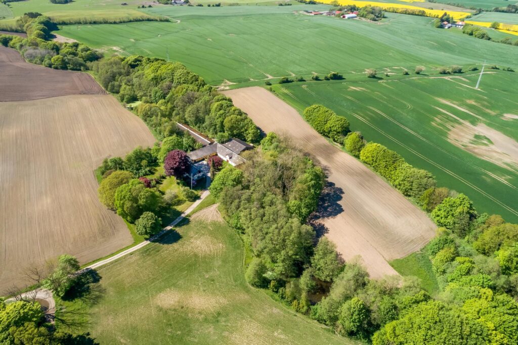 Ejendom på 21 ha og egen skov