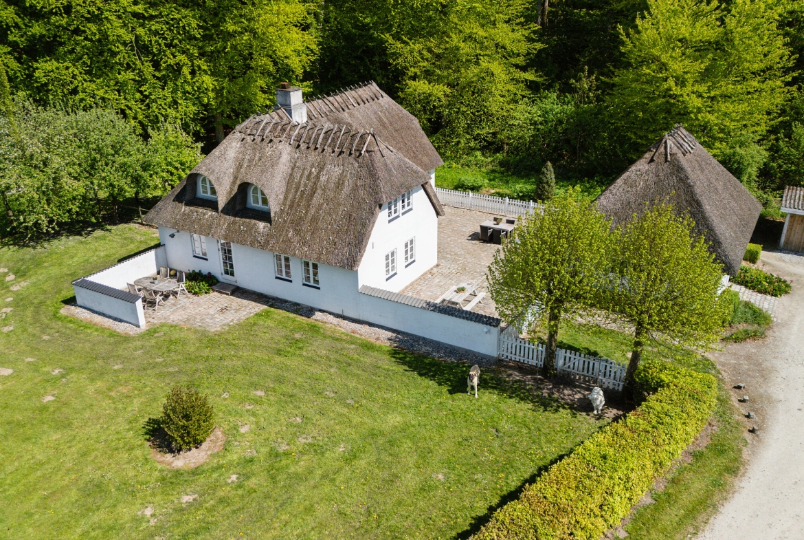 Skovhuset, hesteejendom, centralt på Fyn