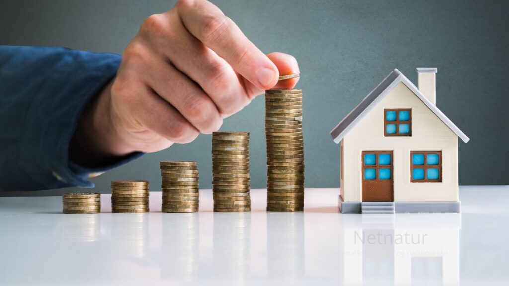 Sådan kan en natur- og lystejendom blive en god investering