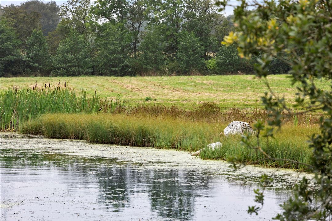 Sømosevej 45, Ll Rørbæk, 9610, Nørager