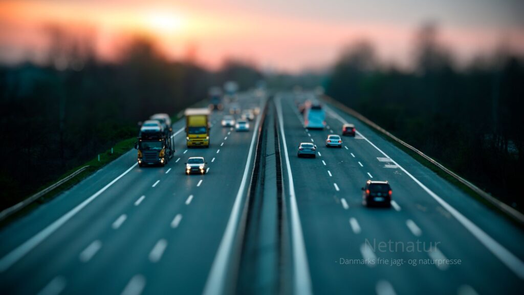 Undgå disse problemer ved boligkøb