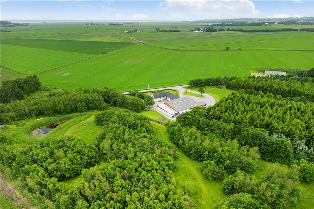Jægerumvej 13, 9460, Brovst 6,4 ha med Parkanlæg og god jagt