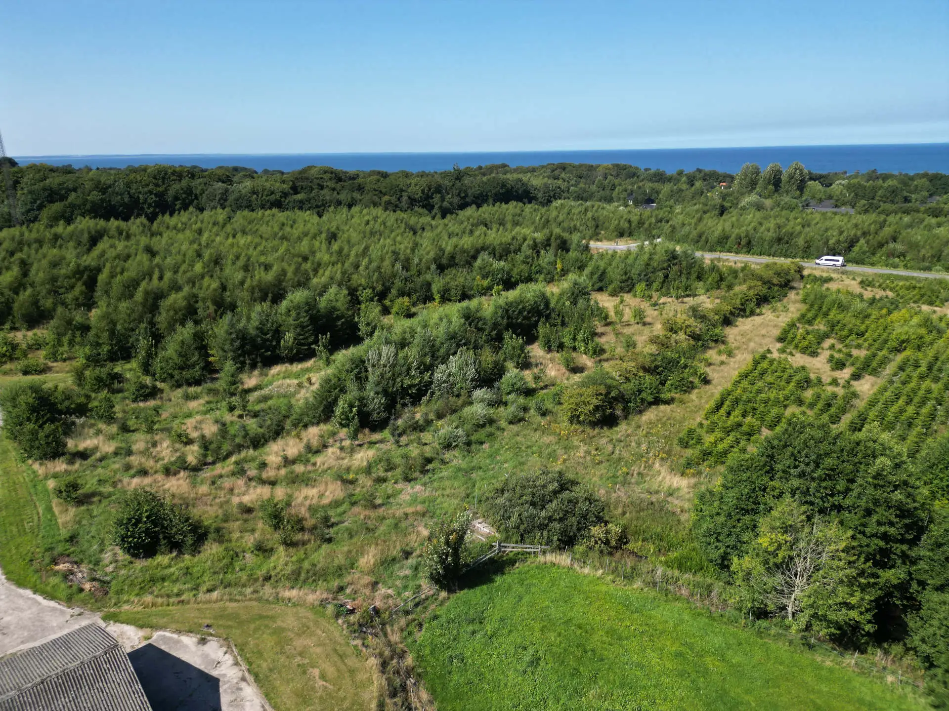 8,4 ha med skov Kanneshøjvej 42, Fjellerup, 8585 Glesborg
