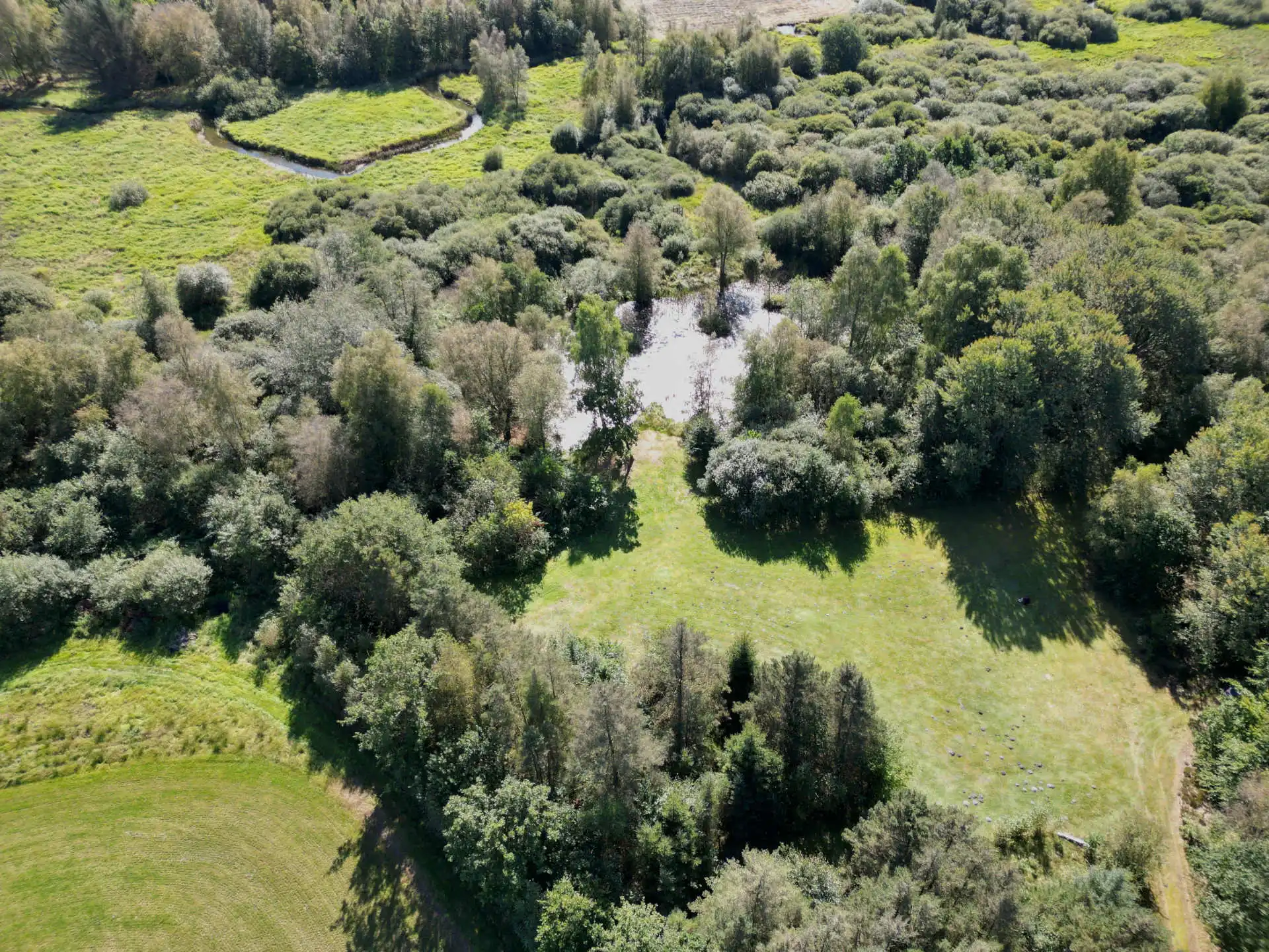 Skøn landejendom med 8,6 ha syd for Ikast