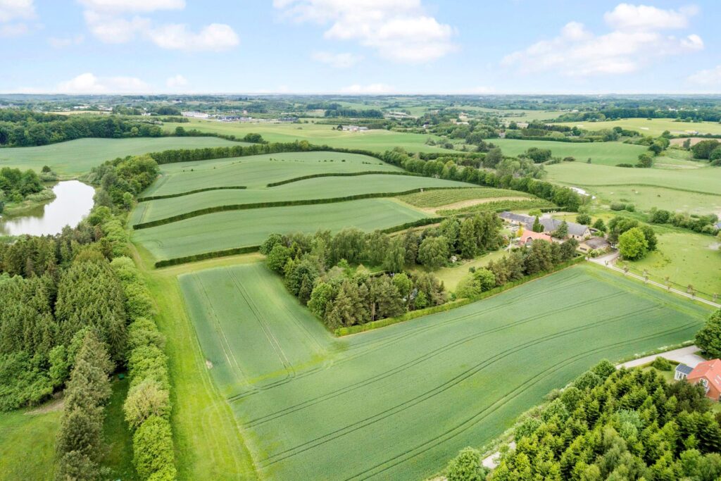 Damgaard på Odensevej 92, 5492 Vissenbjerg 16,6 Ha