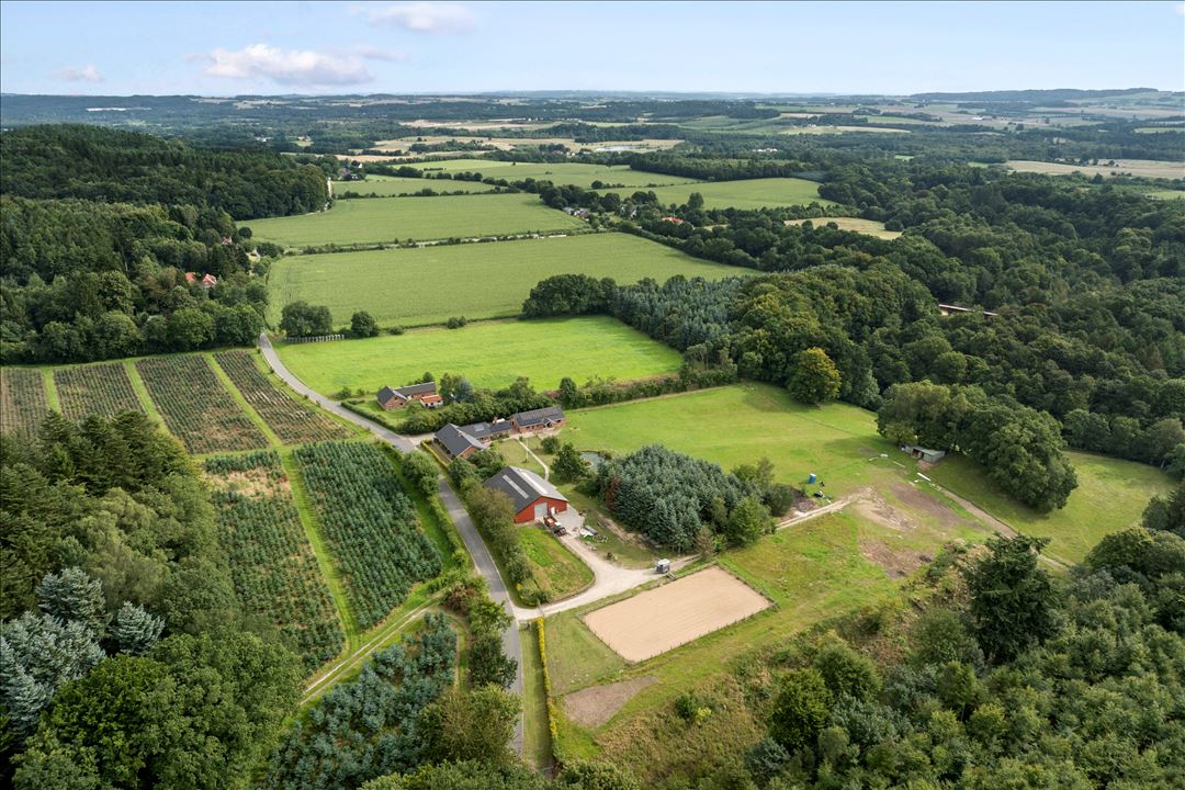 Gammelstrupvej 39, 8740 Brædstrup – Hesteejendom i smuk natur