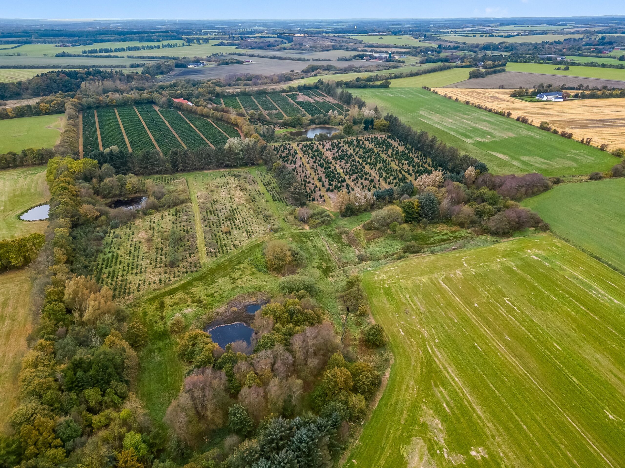 17 ha lyst- Jagejendom