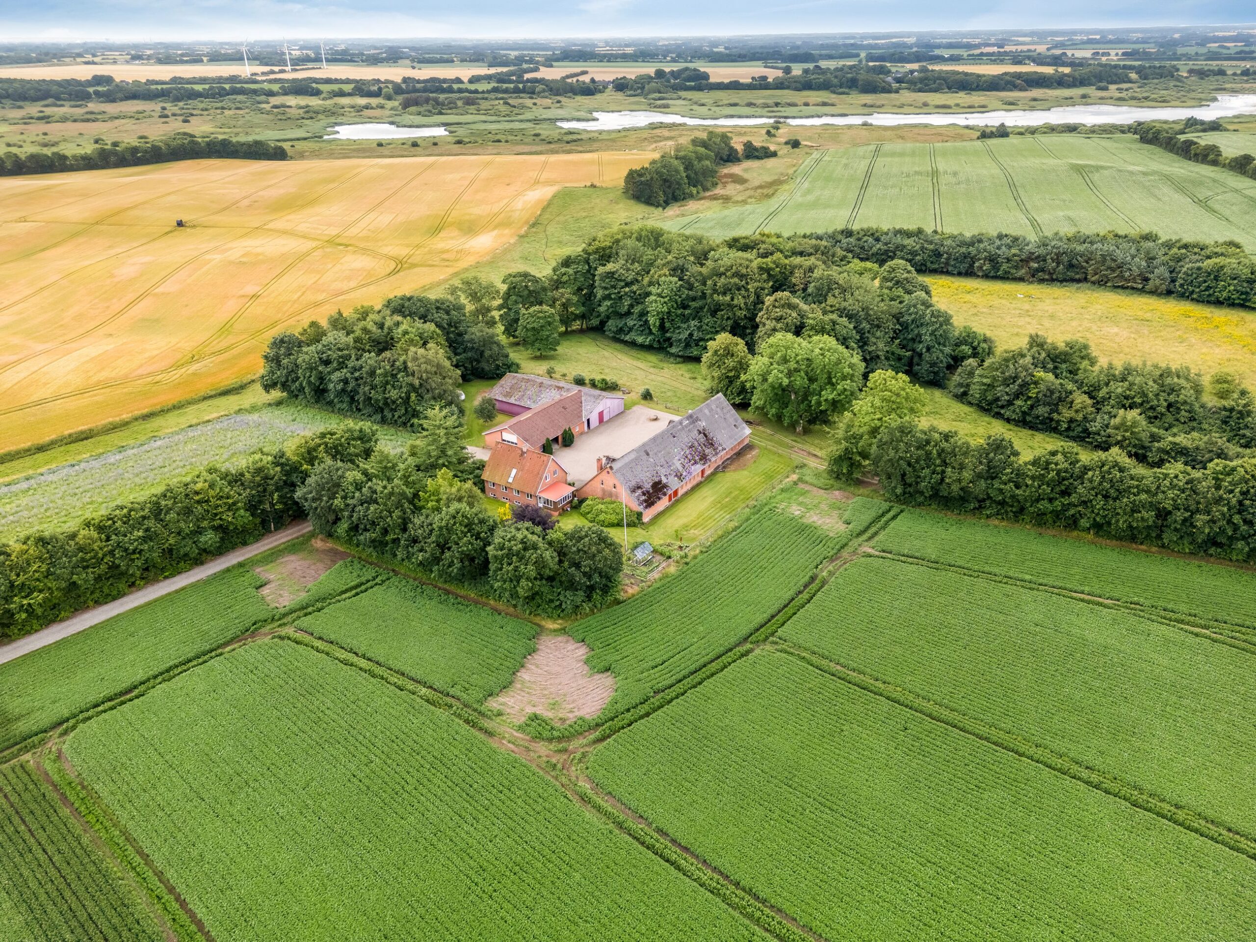 Planteavlsgård med 48 ha, Gamst, 6600, Vejen