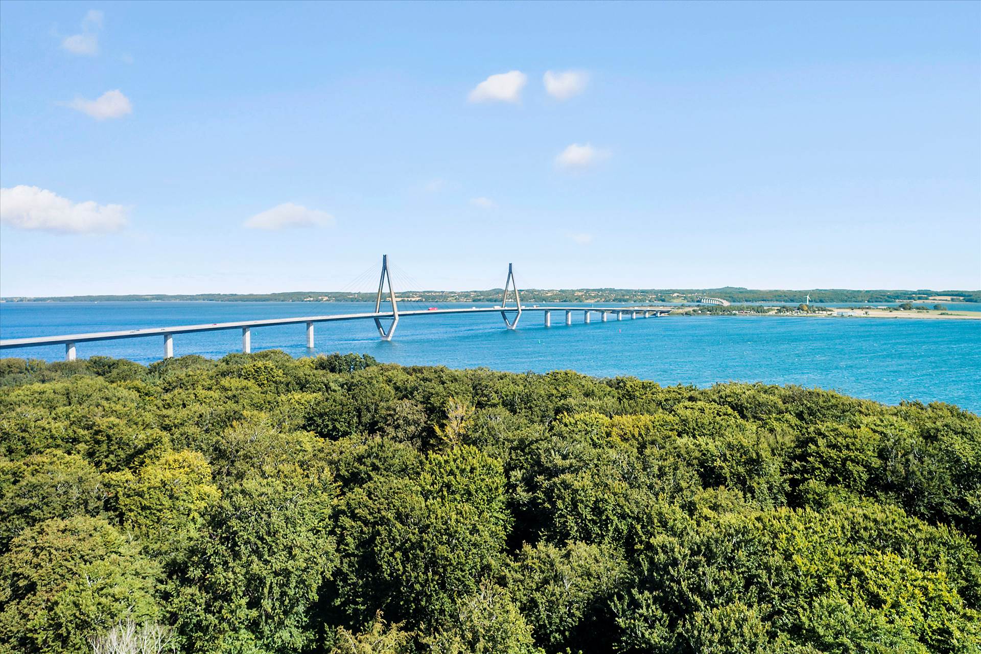 Planteavlsgård med skov, 4850 Stubbekøbing