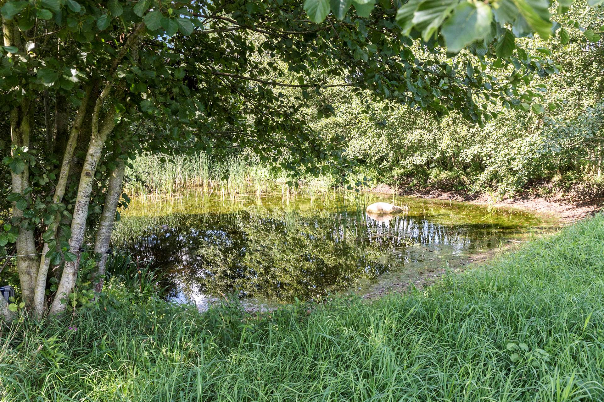 15 ha ugeneret beliggenhed, god jagt, nær skov og strand