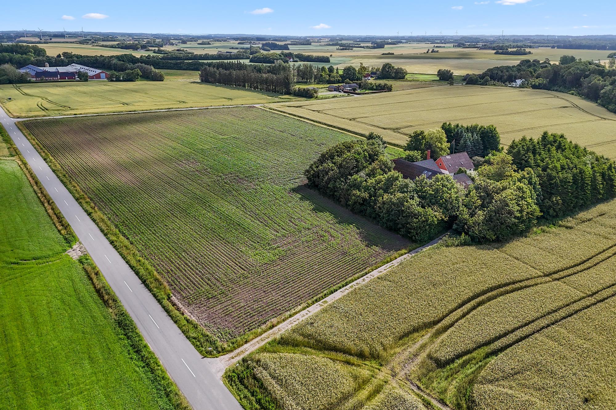 Landejendom 3,2 ha, Vollerup, 9760 Vrå