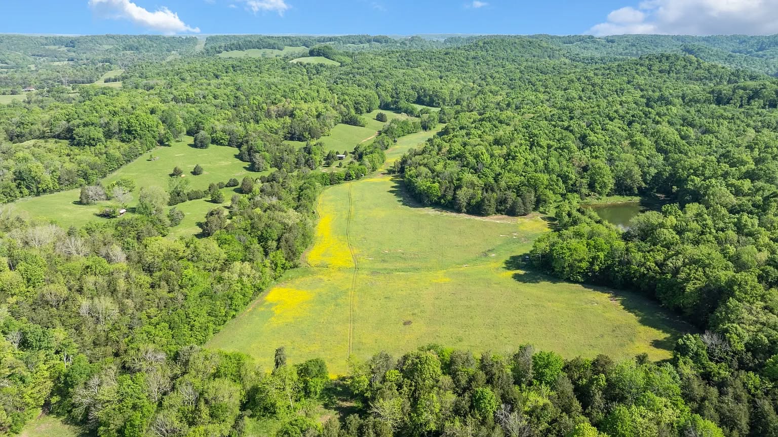 1.370 hektar drøm af en jagt og naturejendom