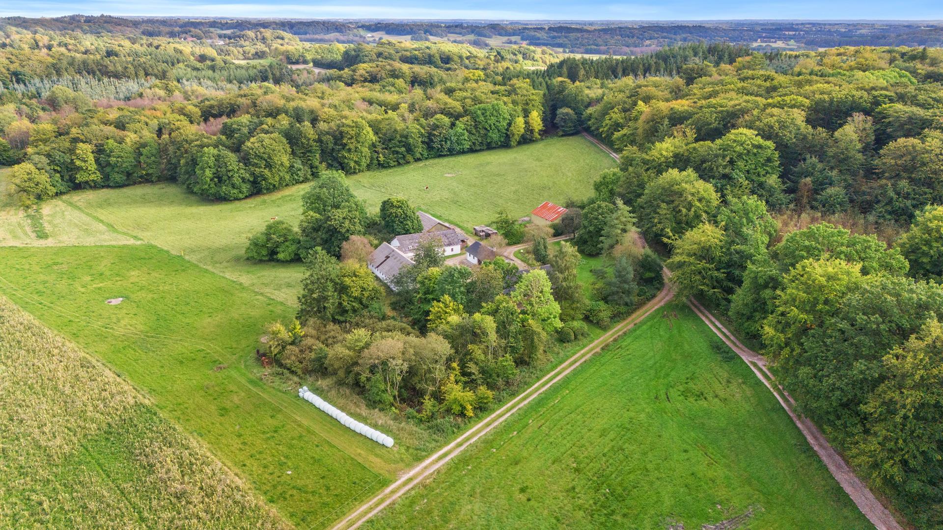 Natur-Jagt-lystejendom med 21 ha