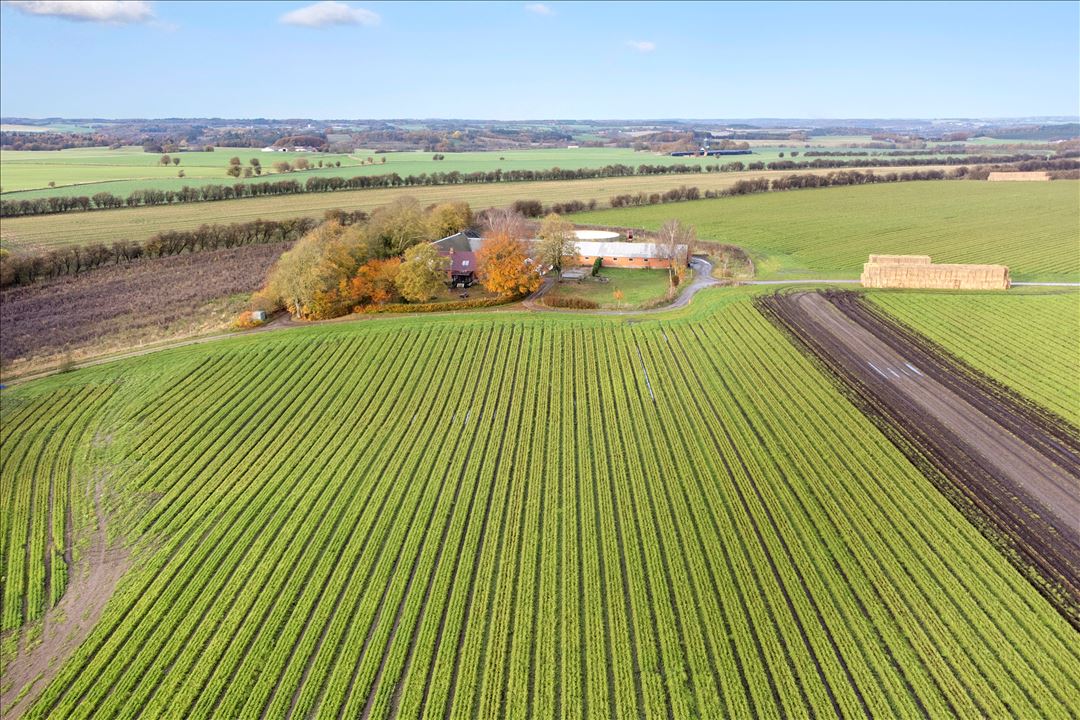 Økologisk landejendom med mange muligheder.