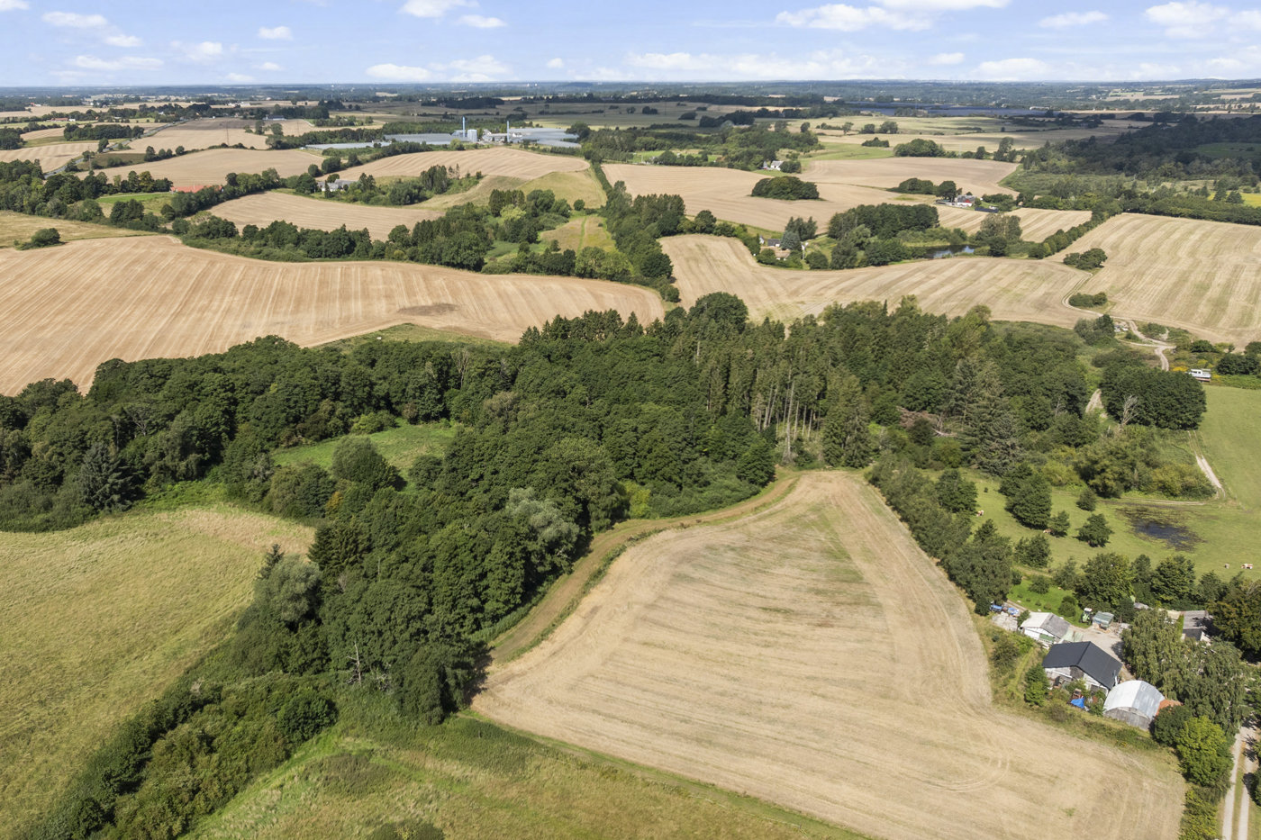 Landejendom med 4,5 HA grund og egen skov