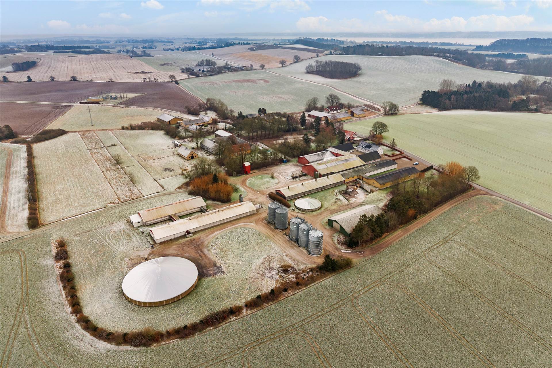 118 ha Svineproduktion, Vestsjælland